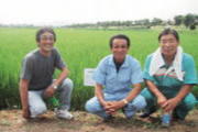 稲作農家と小幡さん