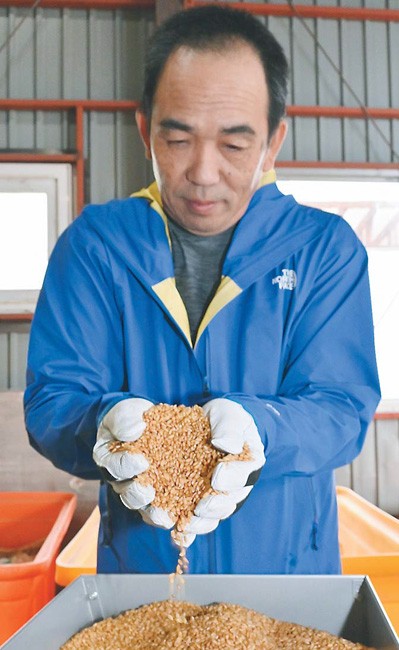 種もみの品質を確かめる板谷代表（北海道東川町で）